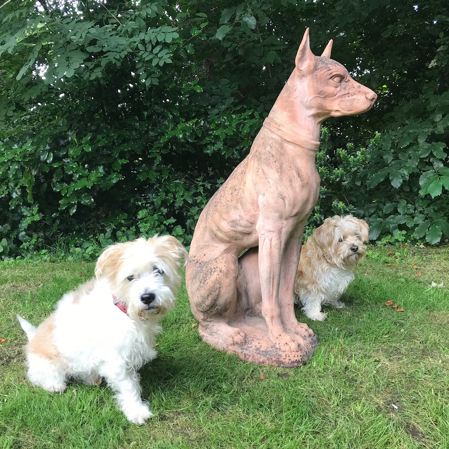 Italian Terracotta Hound