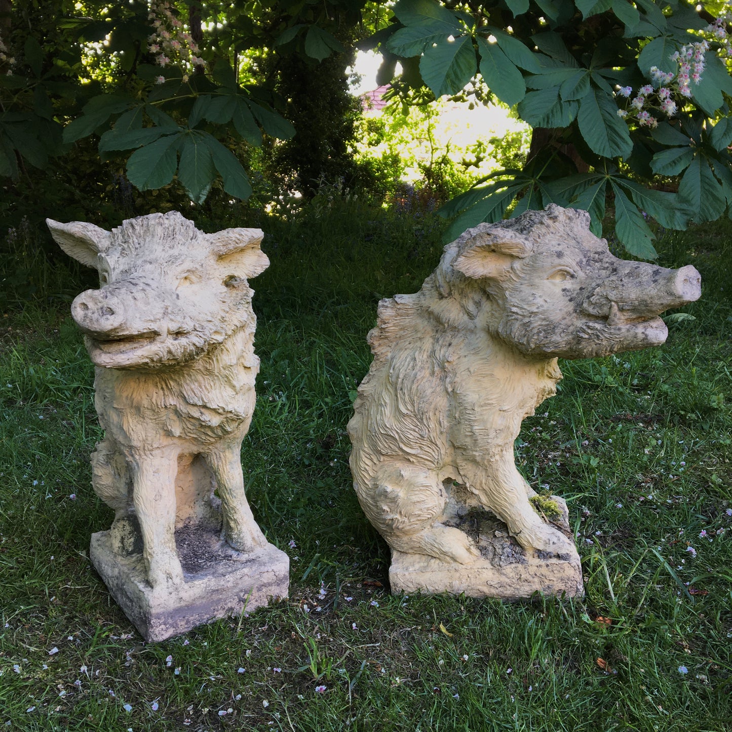 Pair of Wild Boar