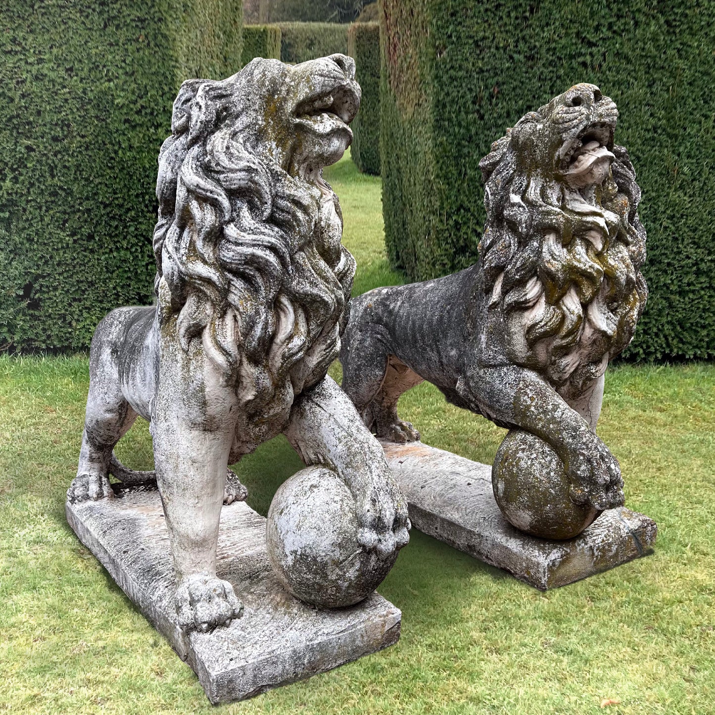 Gigantic Pair of Medici Lion Statues