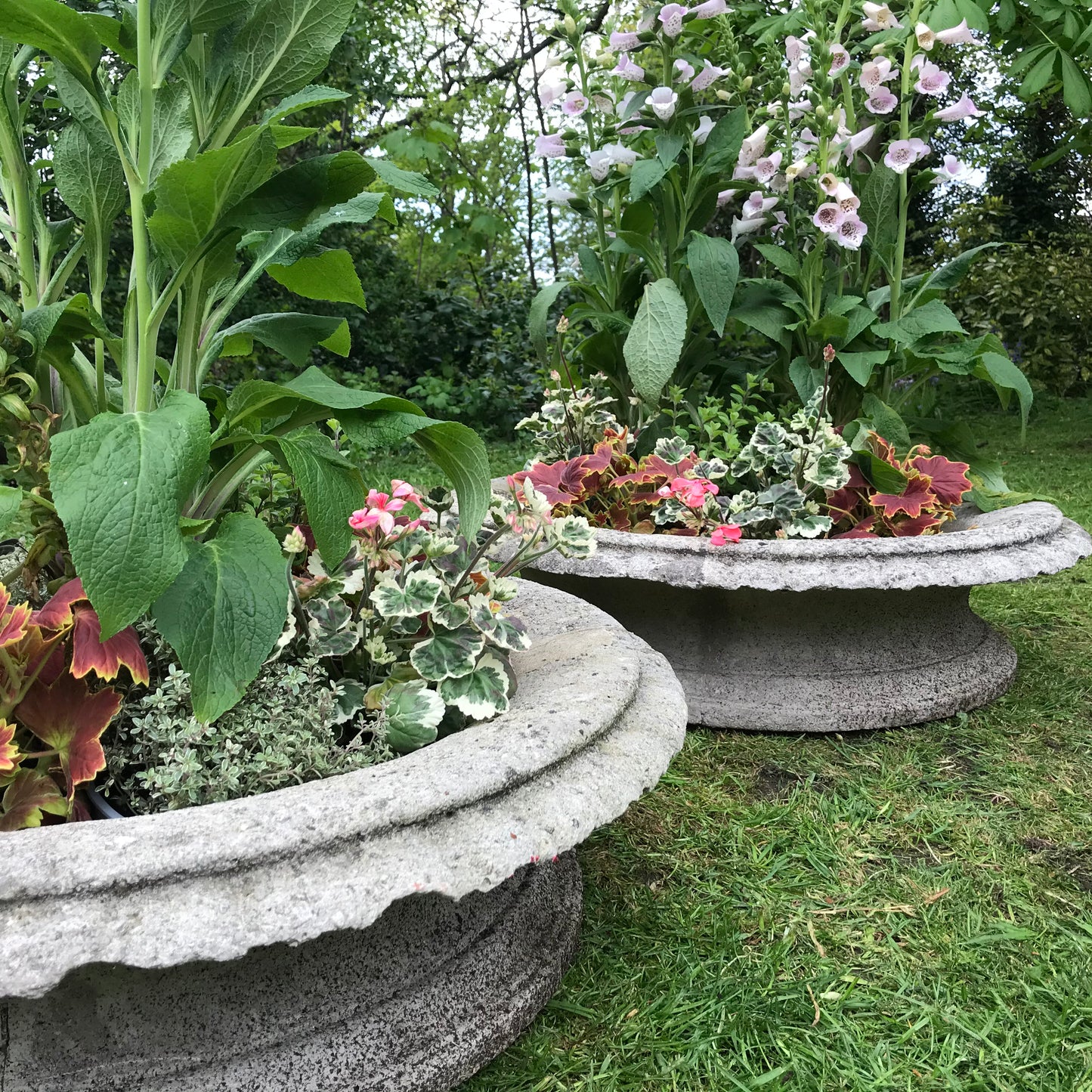 A Grand Scale Pair of Mid-20th Century Tazza Urns