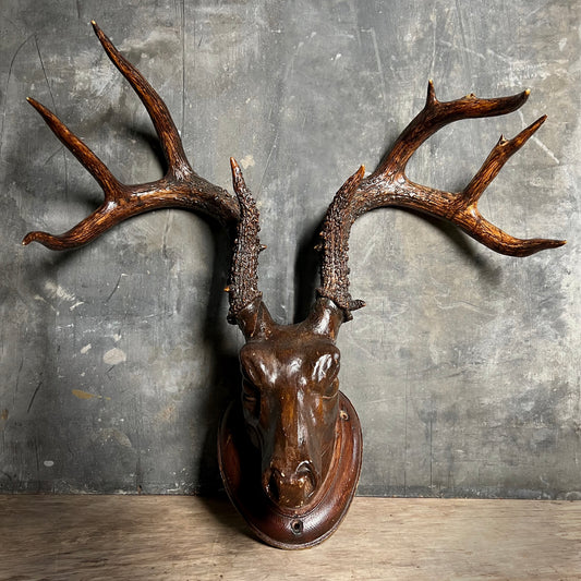 Carved Black Forest Wooden Folk Art Stag Head