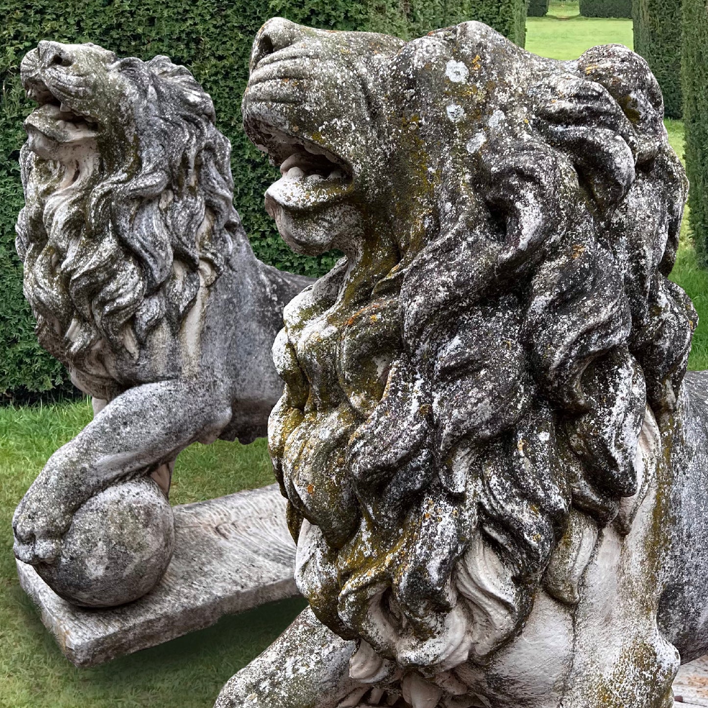 Gigantic Pair of Medici Lion Statues