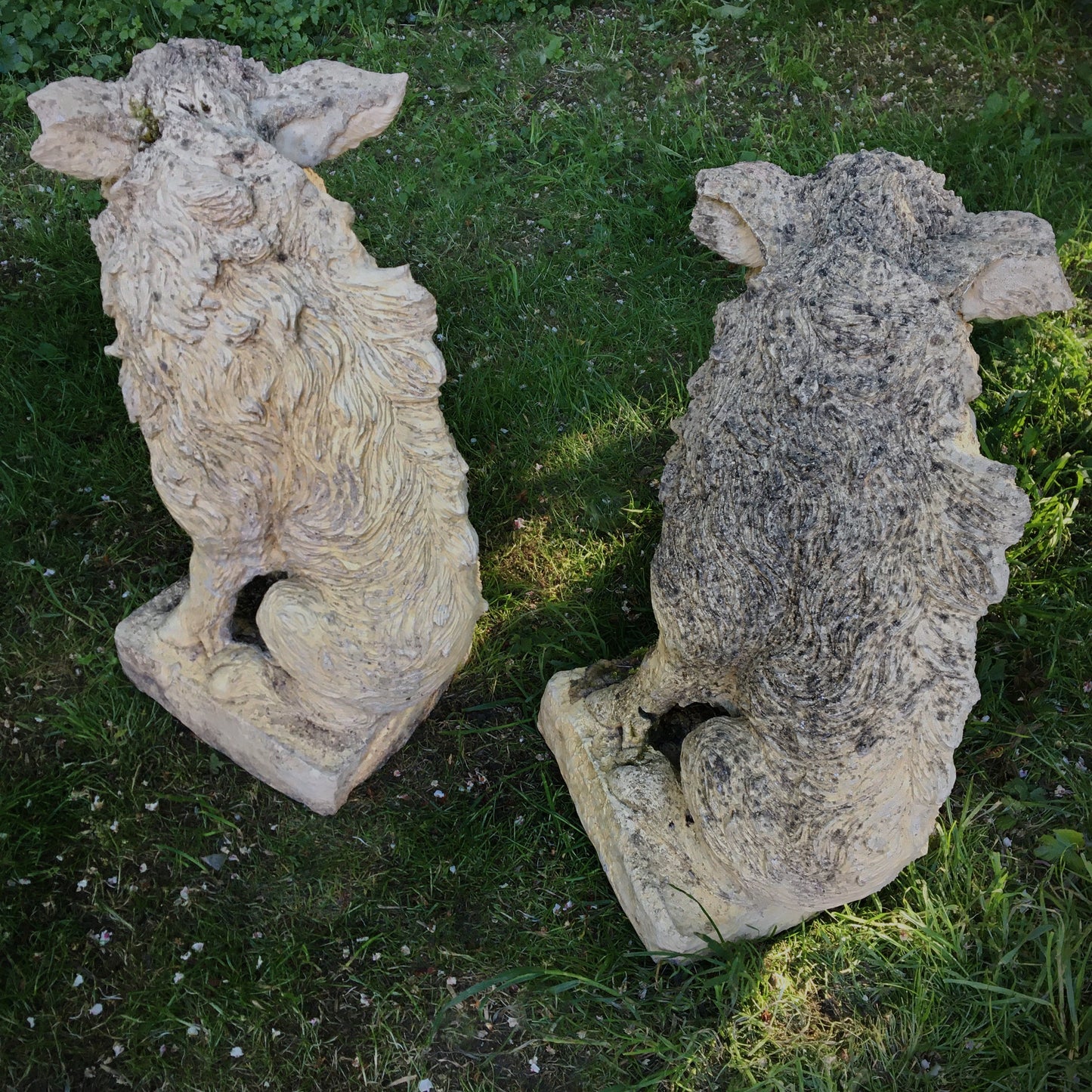 Pair of Wild Boar