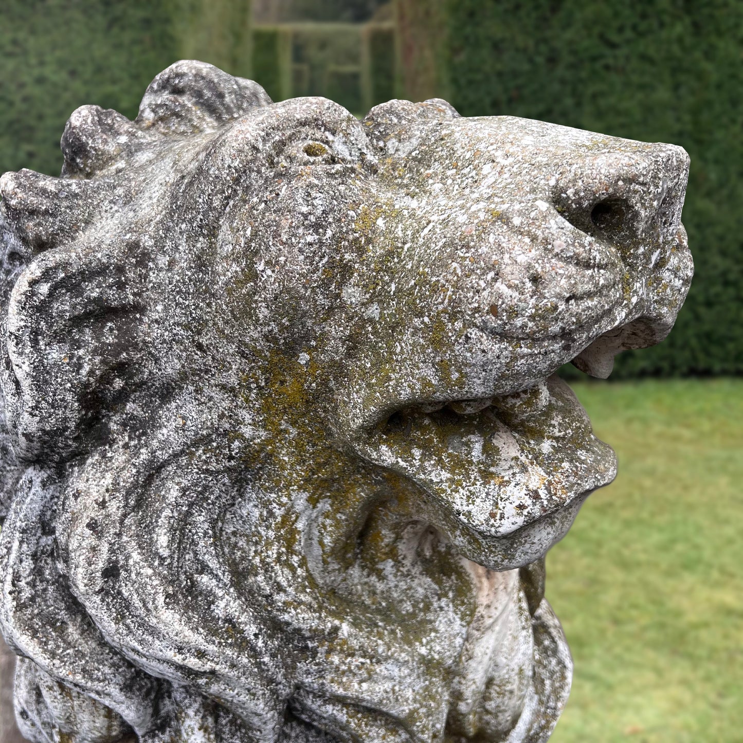 Gigantic Pair of Medici Lion Statues