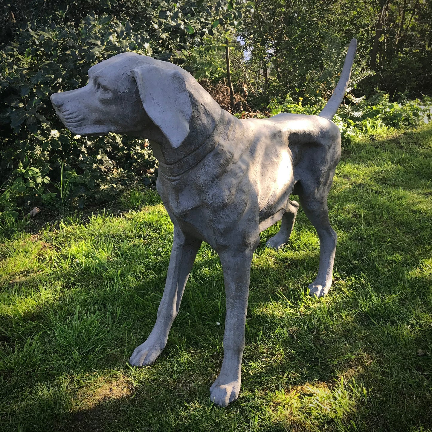 French Cast Iron Hound
