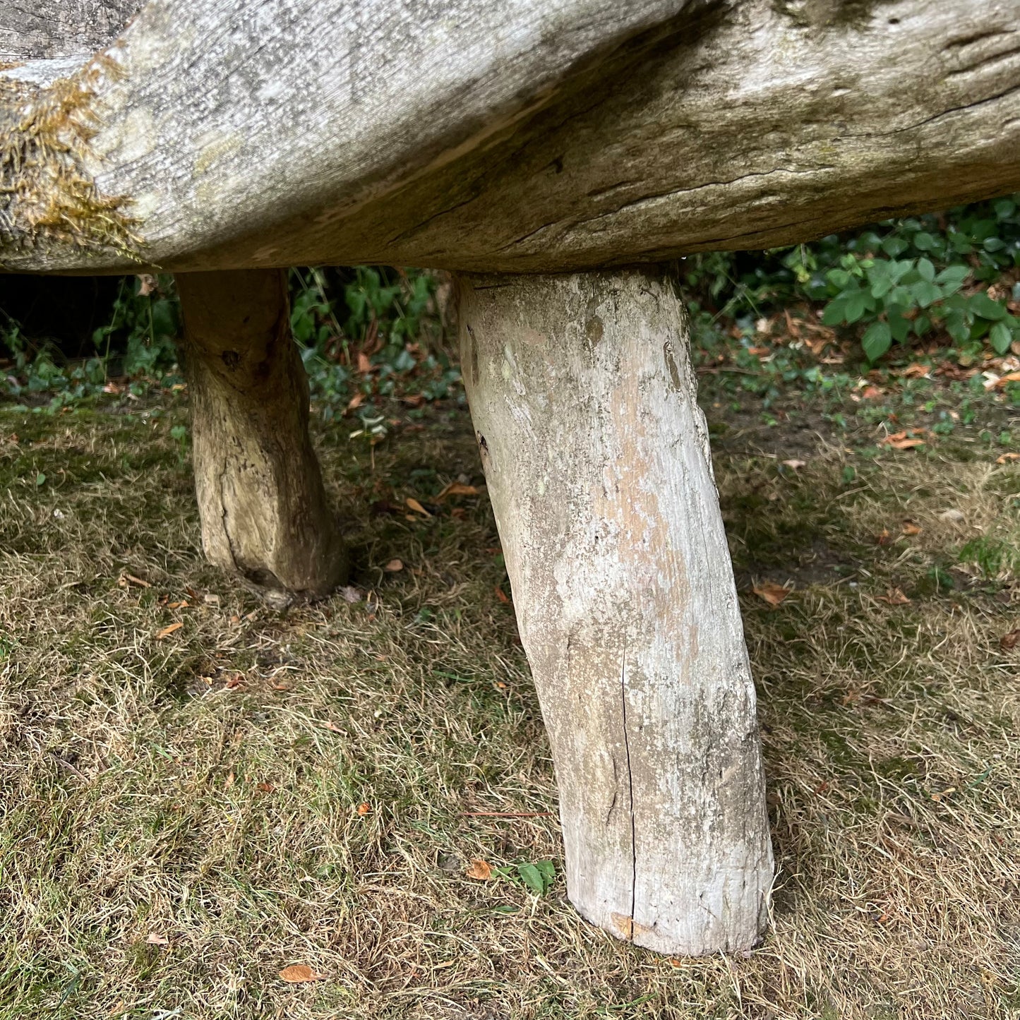 Primitive Silvered Organically Formed Root Bench