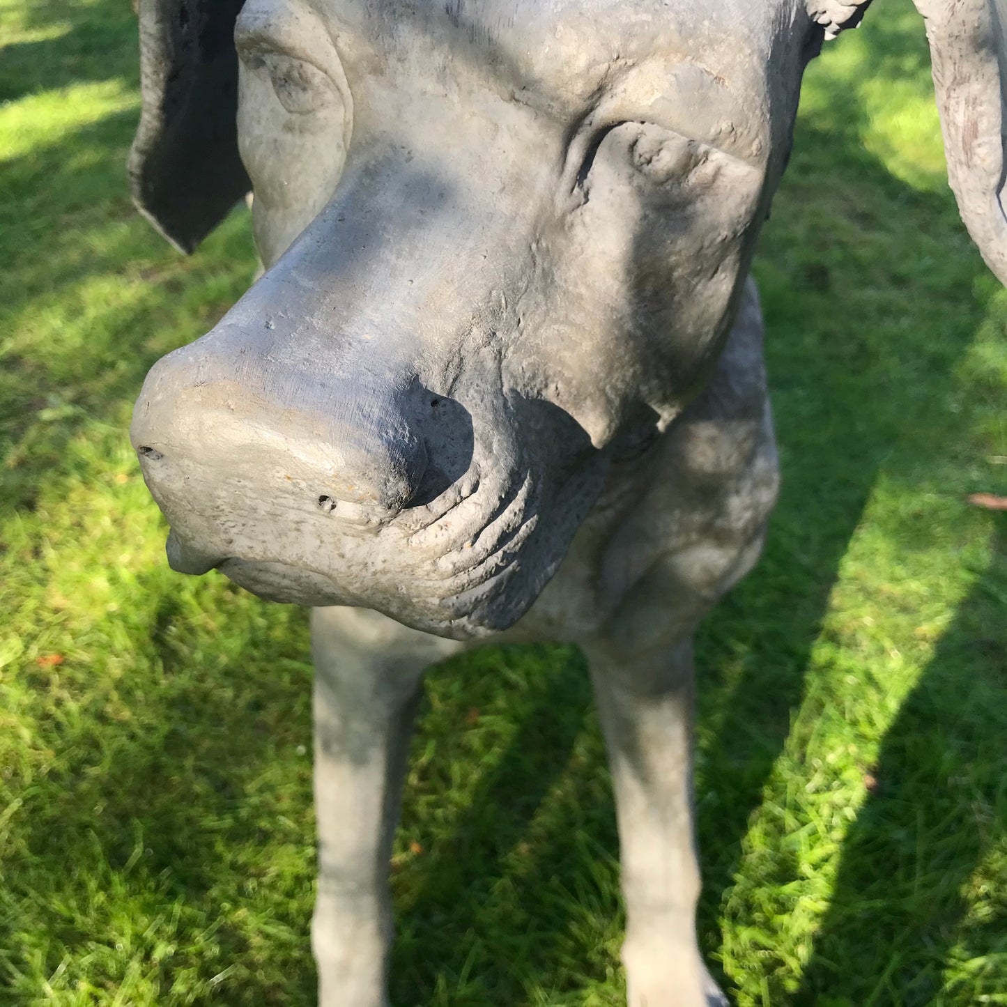 French Cast Iron Hound