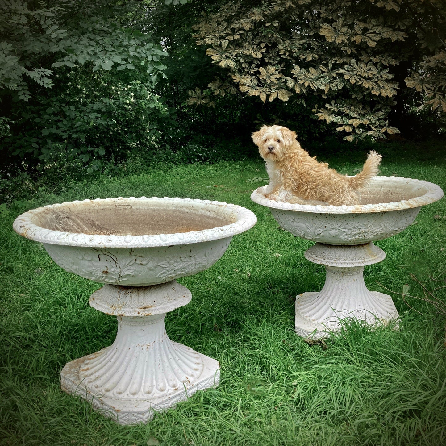 Pair of Grand-scale Cast Iron Urns