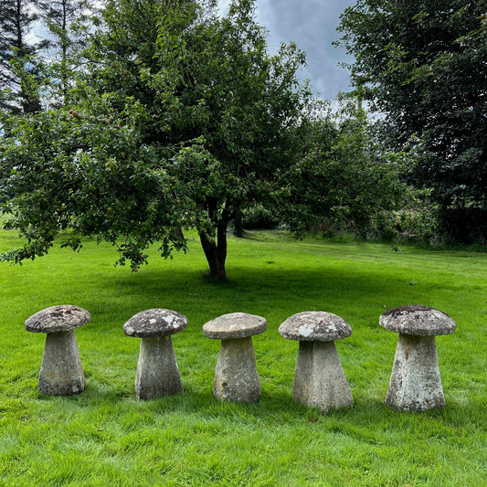 Set of Five Cotswolds Staddle Stones c.1750