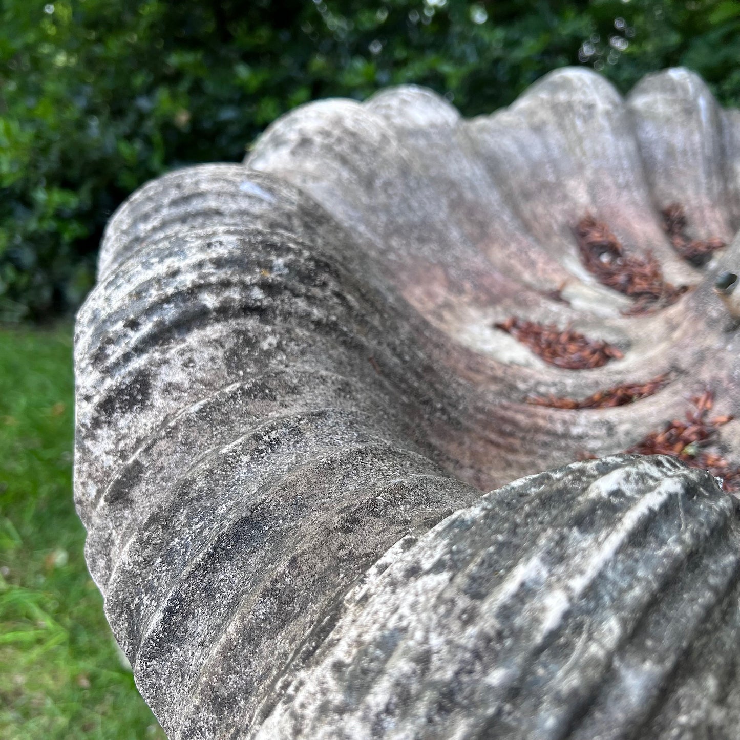 Single-Tier Italianate Clam Shell Fountain with Putto & Carp