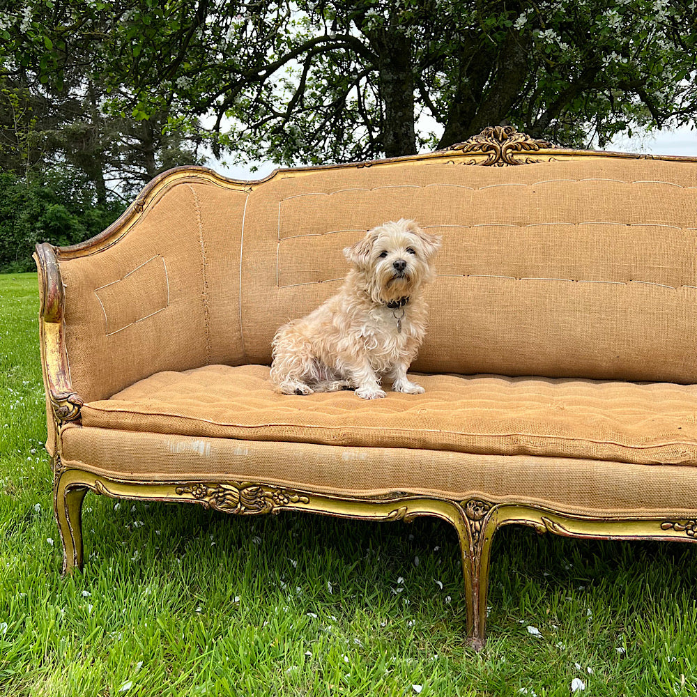 Louis XV period Canapé en Corbeille Settee 18th Century