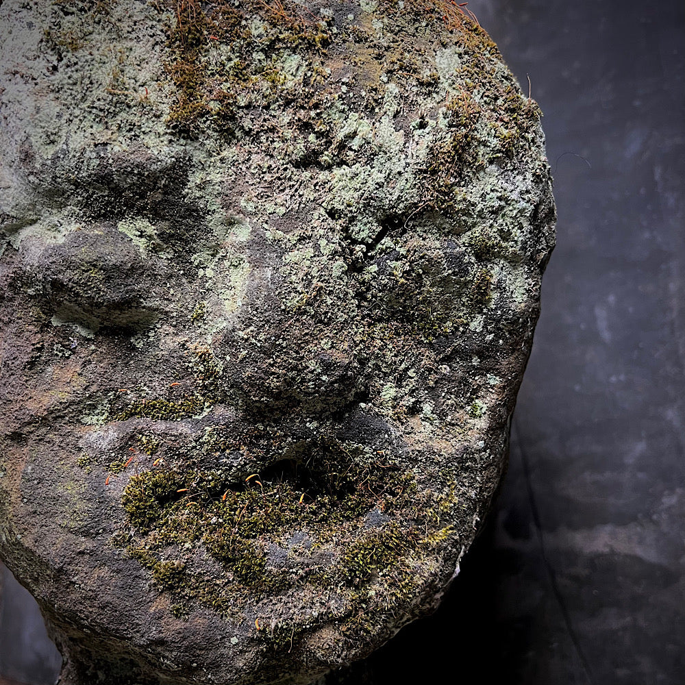 Celtic Stone Head