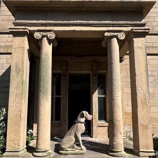 Great Dane Dog Statue with Hand-Forged Chain & Collar