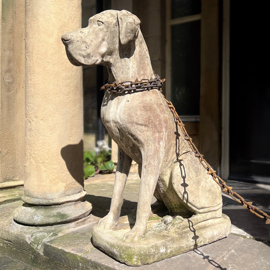 Great Dane Dog Statue with Hand-Forged Chain & Collar