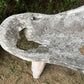 Primitive Silvered Organically Formed Root Bench