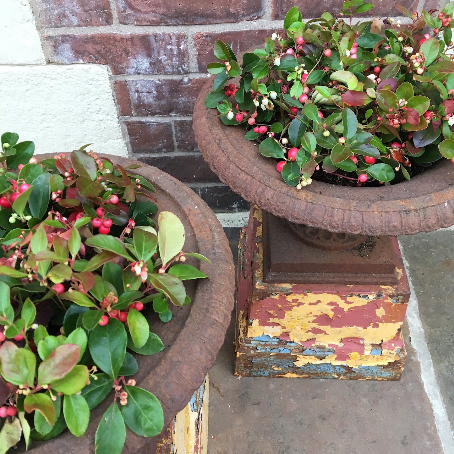 Pair of Cast Urns on Coloured Pedestals