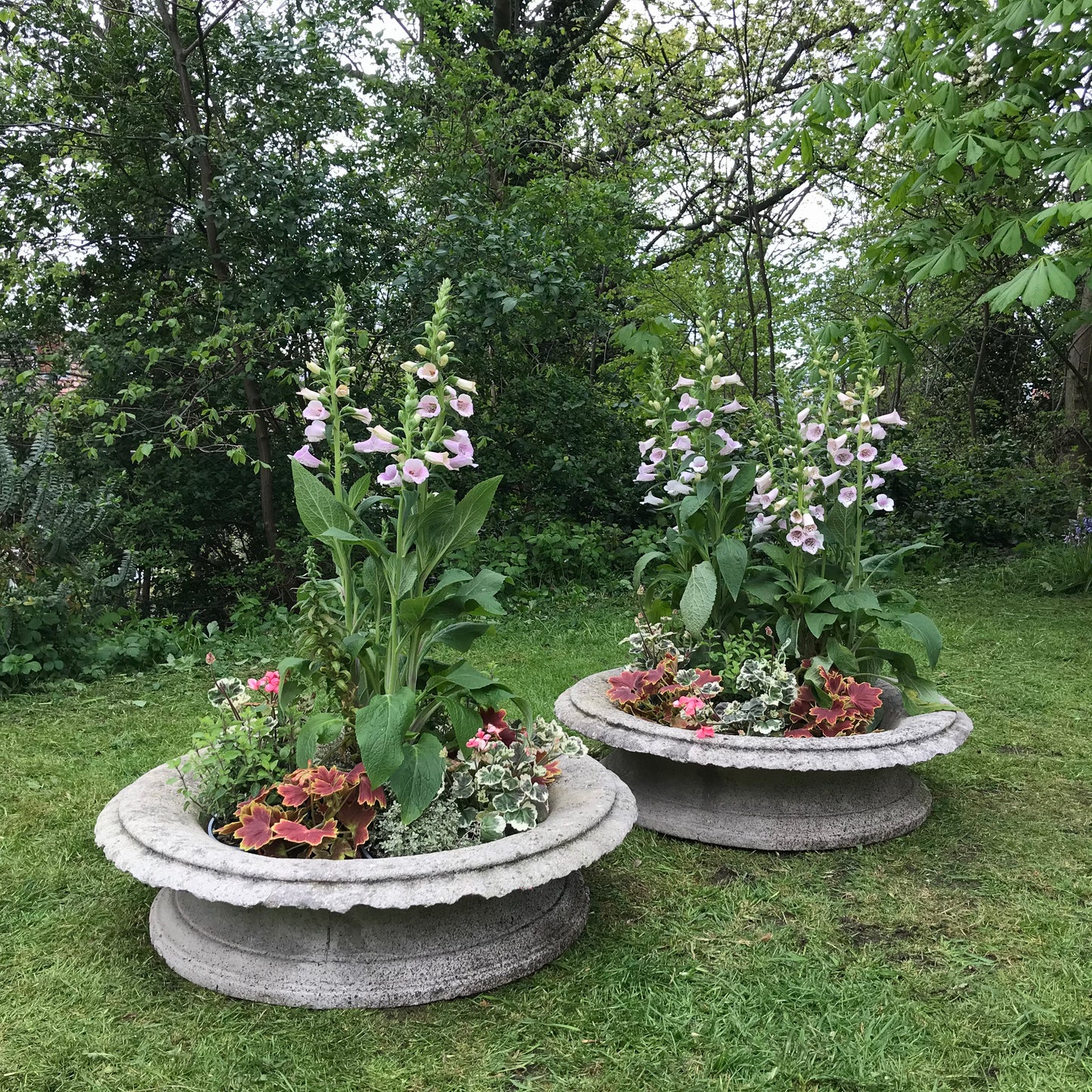 A Grand Scale Pair of Mid-20th Century Tazza Urns