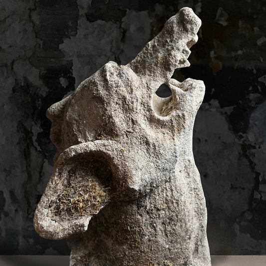 Medieval Limestone Gargoyles