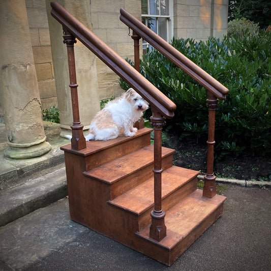 Arts & Crafts Library Steps c.1890