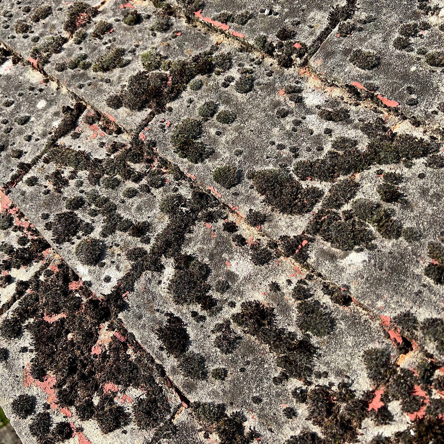 French Faux Bois Wishing Well Early 20th Century