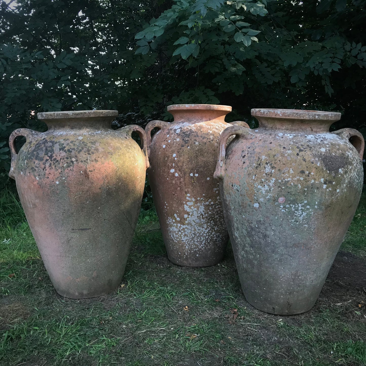 Mediterranean Terracotta Amphora Trio