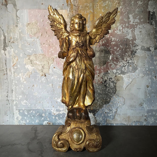 Early Italian Giltwood Angel c.1650