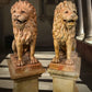 French Terracotta Lion Sculptures by Mandeville-Combeleran 1880-1905