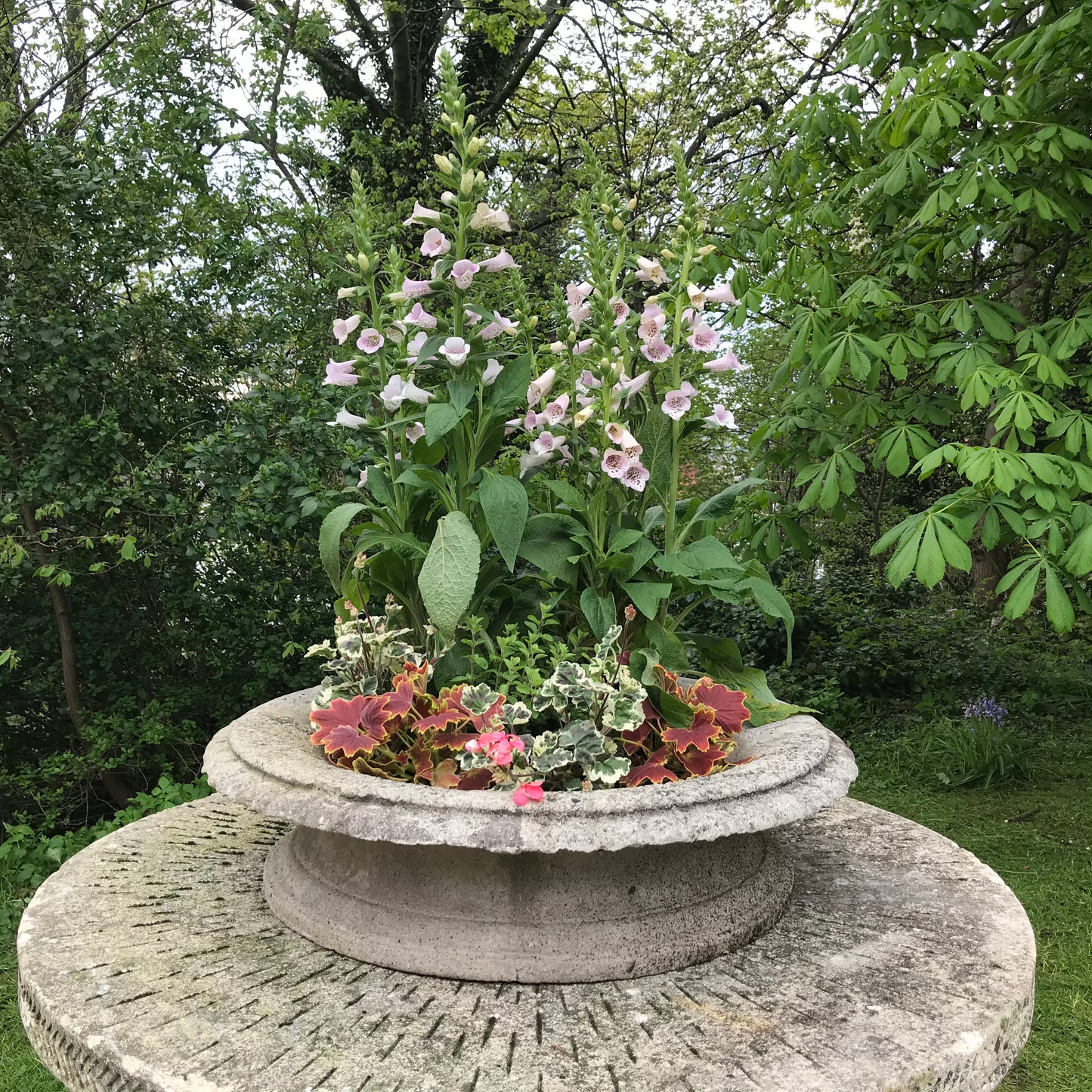 A Grand Scale Pair of Mid-20th Century Tazza Urns