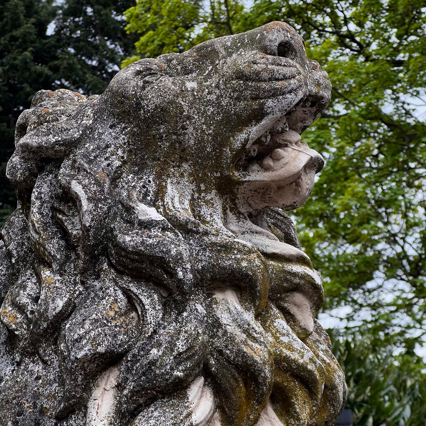 Gigantic Pair of Medici Lion Statues