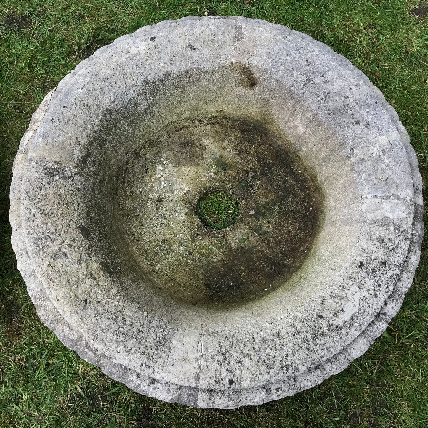 A Grand Scale Pair of Mid-20th Century Tazza Urns