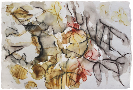 Chloë Holt RCA FRSA - “Las Flores de la Espana”