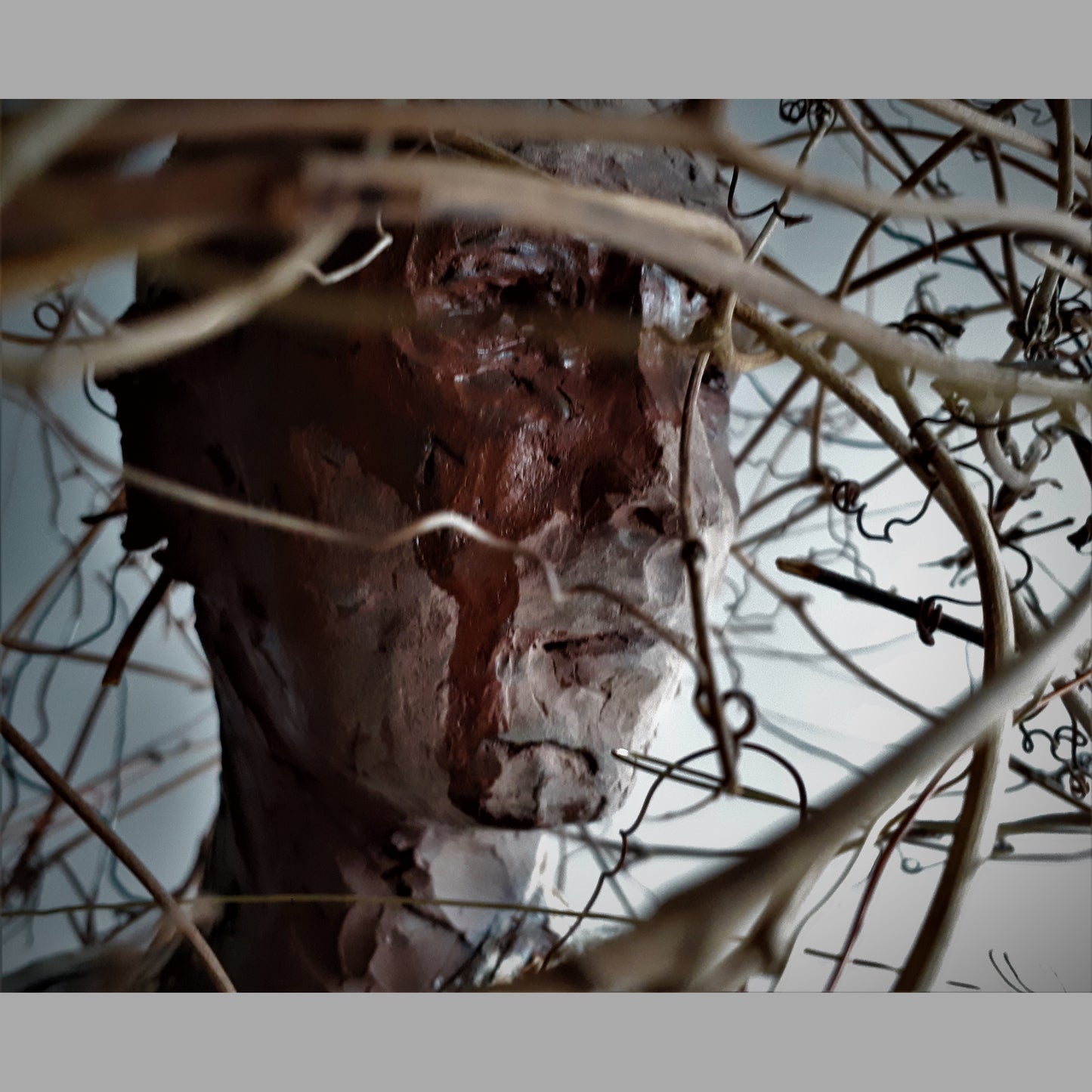 Sharon Griffin - “Mindfulness“