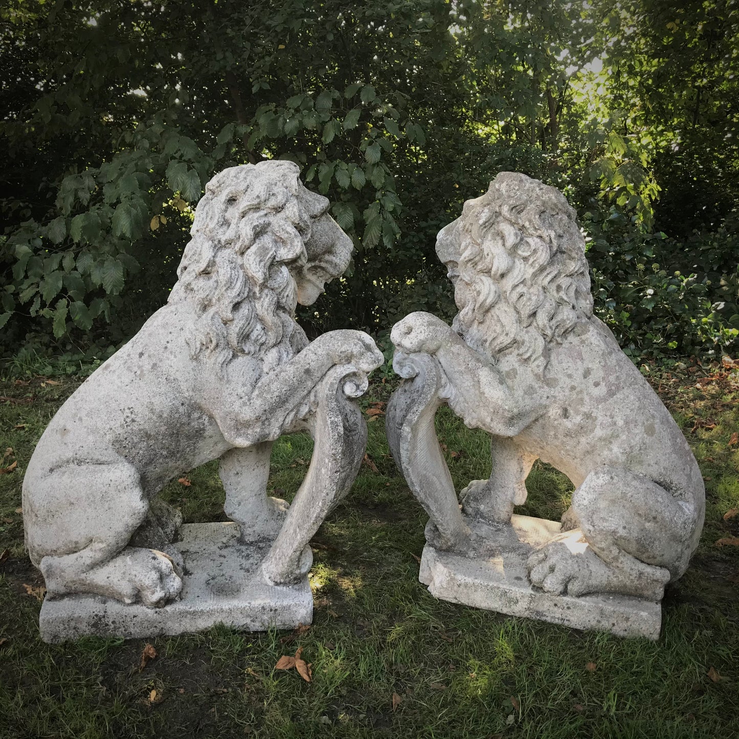 Pair of Impressive Seated Heraldic Lions