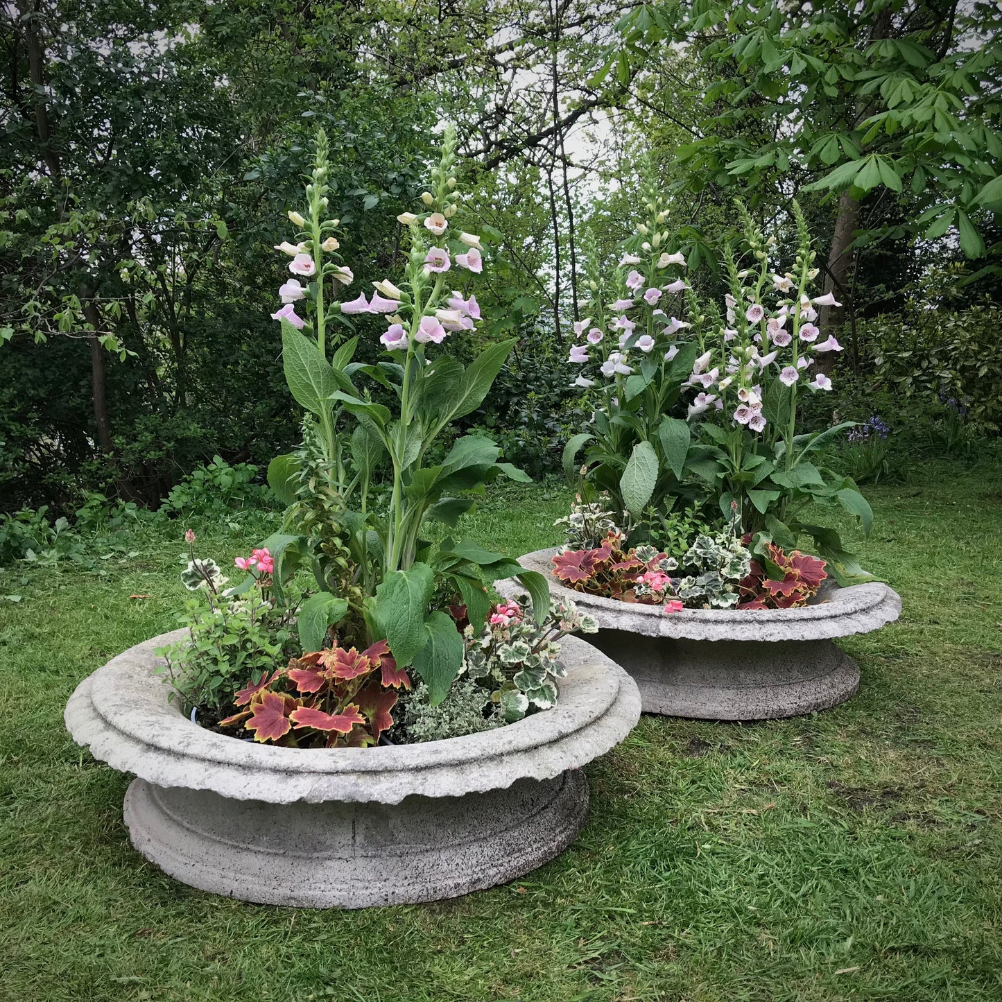 A Grand Scale Pair of Mid-20th Century Tazza Urns