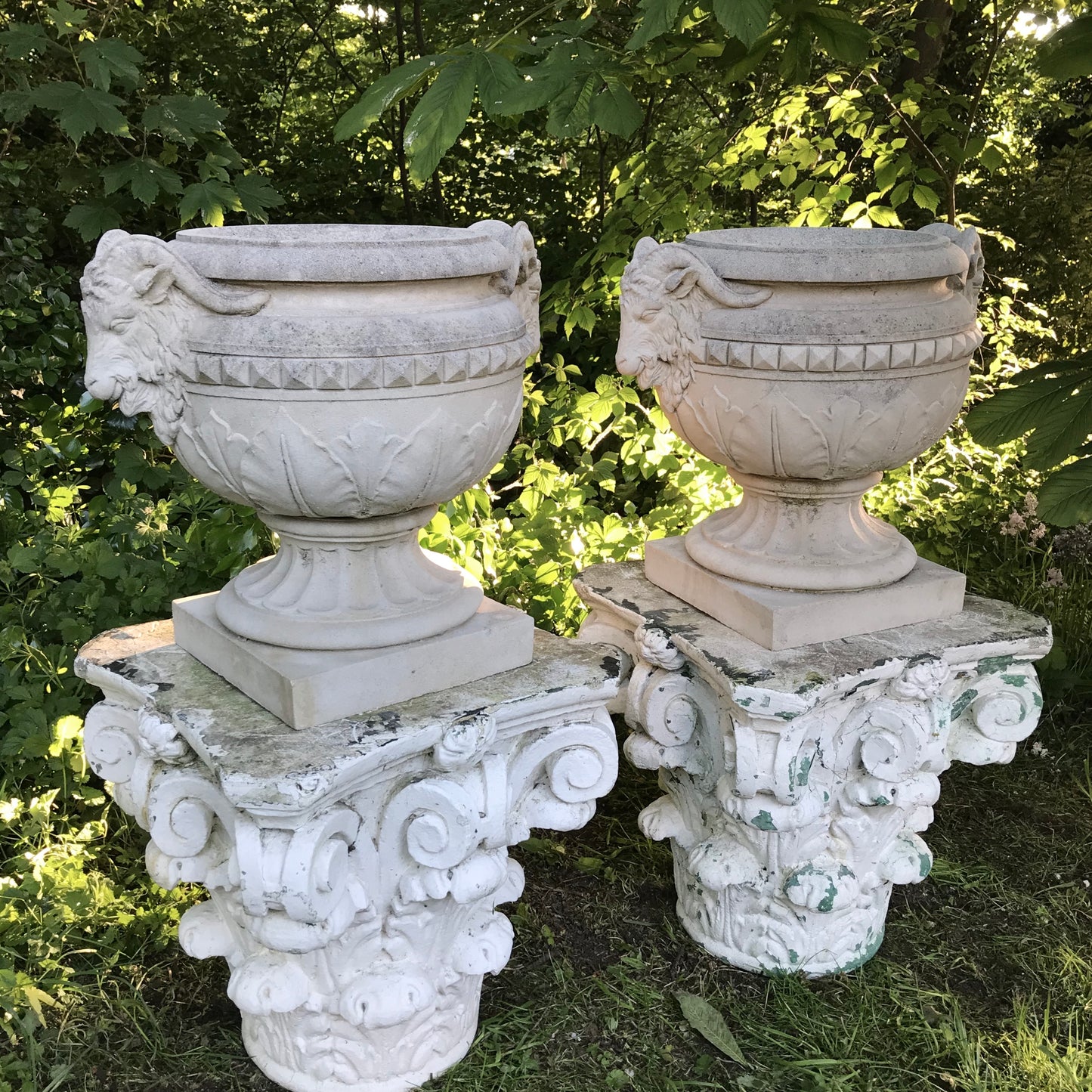 Pair of Rams Head Classical Urns