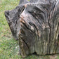 Primitive Star-Form Root Chair Mid 20th Century