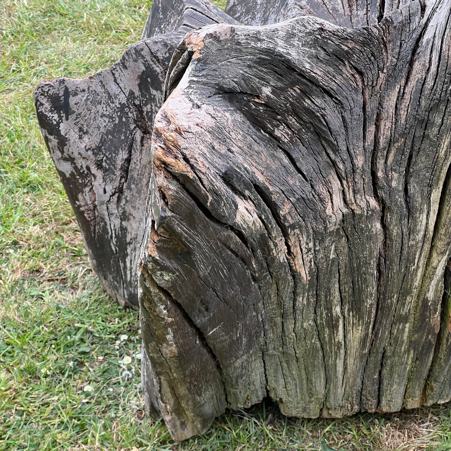 Primitive Star-Form Root Chair Mid 20th Century