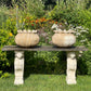 Pair of Italian Art Deco Carved Marble Lotus Form Planters, c.1930