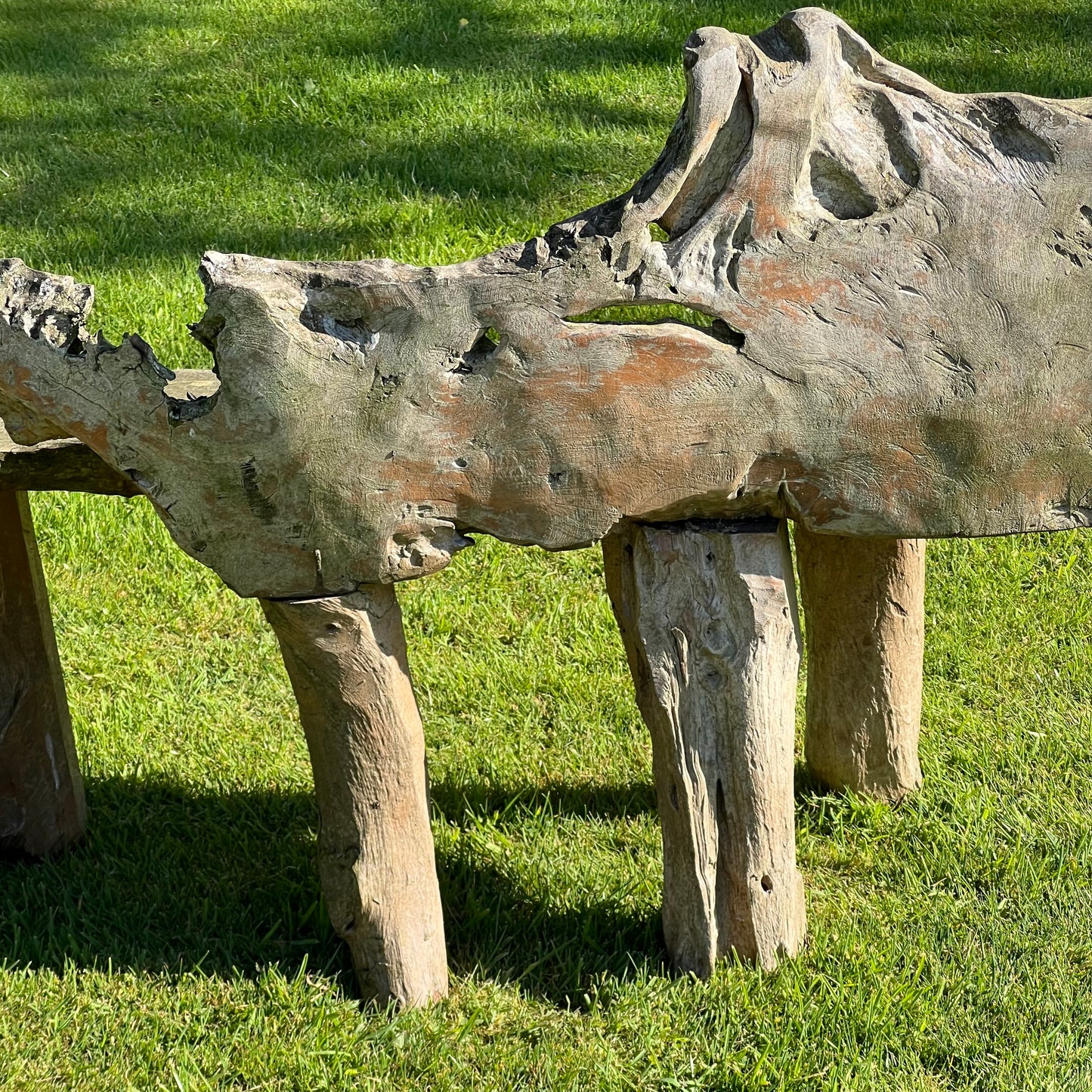 Primitive Organically Formed Root Bench