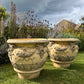 Pair of Huge Italianate Buff Terracotta Satyr Planters