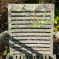 Pair of Teak Chairs with Incredible Lichens Mid-20th Century