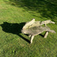 Primitive Organically Formed Root Bench