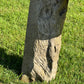 Primitive Organically Formed Root Bench