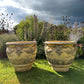 Pair of Huge Italianate Buff Terracotta Satyr Planters