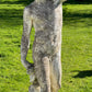 Near Life-Size Bacchus Statue after Sansovino, Early 20th Century