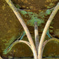Arras Wrought Iron Garden Table, France c.1900–1920