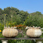 Pair of Italian Art Deco Carved Marble Lotus Form Planters, c.1930