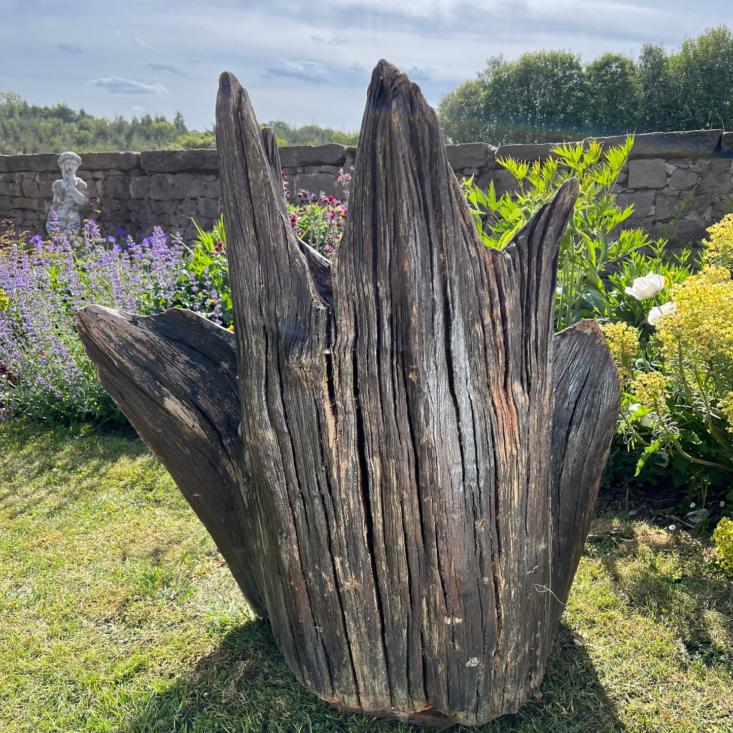 Primitive Star-Form Root Chair Mid 20th Century