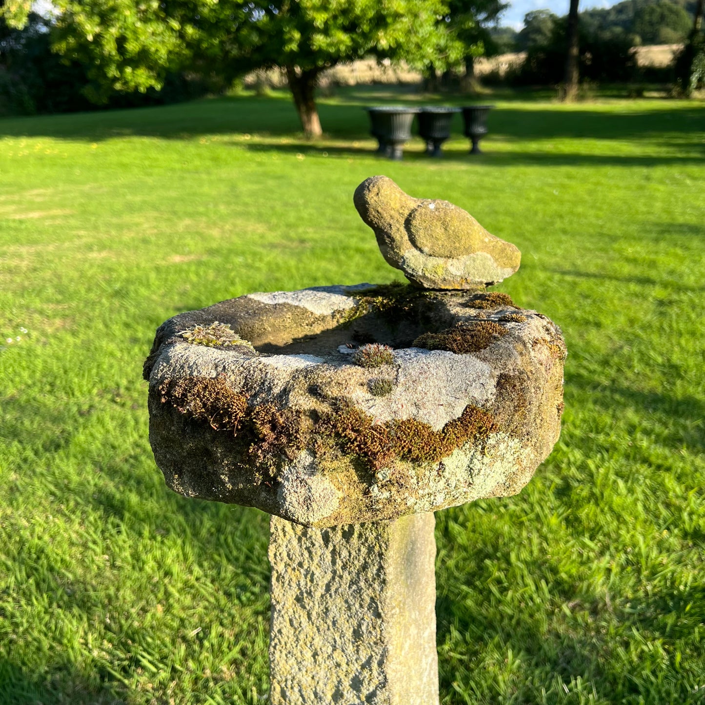 York Stone Bird Birdbath Late 19th/Early 20th Century