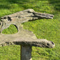 Primitive Organically Formed Root Bench